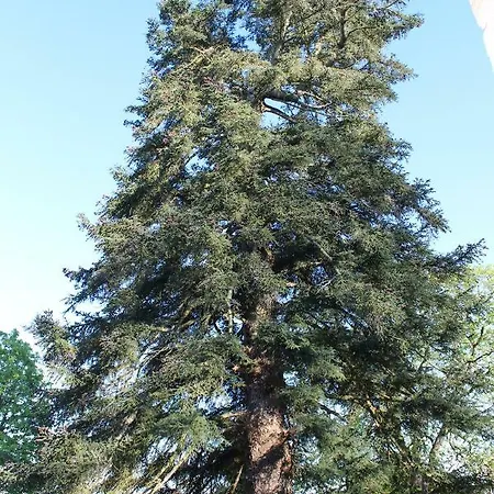 Дом отдыха Gite Domaine St Georges *