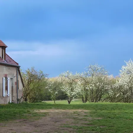 Domaine St Georges * Bagneux (Allier)